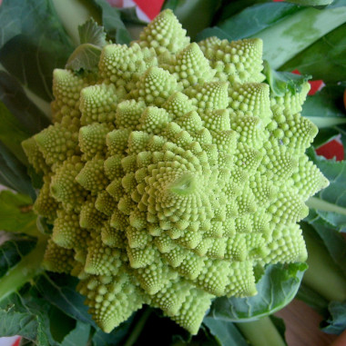 <p>Brócoli de tipo romanescu,