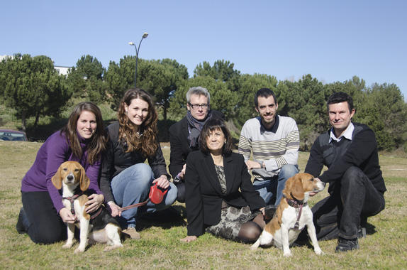 <p>El equipo de investigación de la UAB, liderado por la doctora Fàtima Bosch (en el centro de la fotografía), con dos perros curados de la diabetes mediante terapia génica. / Pierre Caufapé.</p>