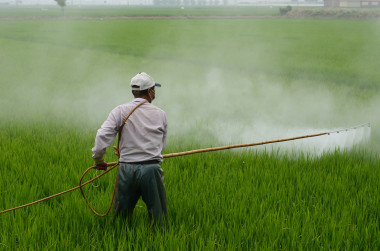 <p>Un hombre aplica un herbicida. / Imagen de archivo libre de derechos de autor</p>