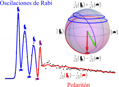 <p>Ilustración de las oscilaciones de Rabi, donde la luz (gato vivo) intercambia continuamente su excitación con la materia (gato muerto). Los estados de superposición de luz y materia que se observan en la parte alta y baja de la esfera representan los polaritones superior e inferior, respectivamente. / UAM</p>