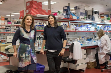 <p>Paula Martínez (izq.) y Maria A. Blasco (drcha.), principales autoras del trabajo. / CNIO</p>