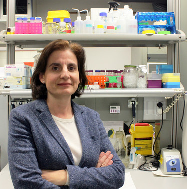 <p>La doctora Carmen Plasencia, cofundadora de Aromics, en sus laboratorios del Parque Científico de Barcelona. / PCB</p>