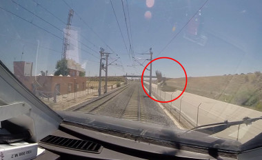 <p>Un avión común (<em>Delichon urbicum</em>) poco antes de ser atropellado por un tren de alta velocidad. / García de la Morena et al. </p>