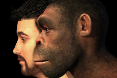 <p>Representación de <em>Homo erectus</em> junto a un <em>Homo sapiens</em>. / Fotolia</p>