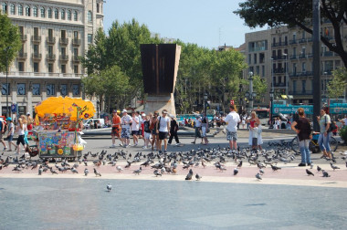 <p>Palomas en la Plaza Cataluña de Barcelona. / James Bilbrey</p>