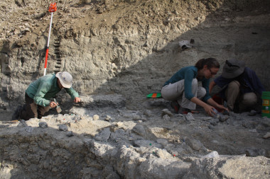 <p>Investigadores trabajando en el yacimiento FLK West./Fernando Diez Martín et al.</p>
