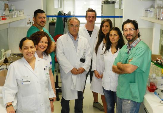 <p>Equipo de investigación <strong> </strong>(de izquierda a derecha) Addy Montes de Oca González, Carmen Herencia Bellido, Andrés Morales Martínez, Mariano Rodriguez Portillo, Julio Martínez Moreno, Noemí Vergara Segura, Mª José Gómez Luna y Juan R. Muñoz Castañeda / Fundación Descubre</p>