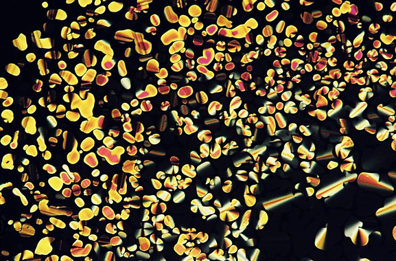 <p>Fotografía de uno de los cristales líquidos sintetizados tomada con un microscopio óptico de luz polarizada. / Cristián Cuerva</p>