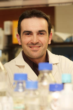 <p>David García realizó su trabajo en la Facultad de Farmacia de la Universidad de Navarra.</p>