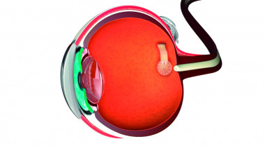 <p>Esquema de una prótesis de retina con estimuladores de grafeno para transmitir información del exterior a través del nervio óptico. / ICN2</p>
