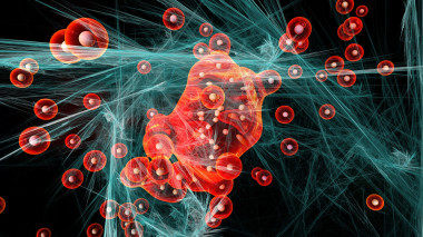<p>Partículas vistas al microscopio. / UCO</p>