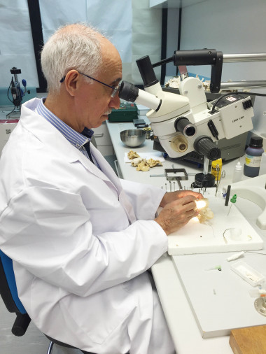 <p>El investigador principal del proyecto, Rafael Urquiza. / Fundación Descubre</p>