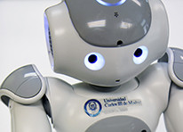 <p>The robotic therapist for children / UC3M. </p>