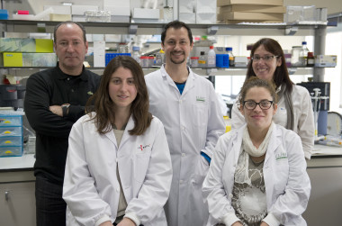 <p/>De izquierda a derecha: Jose C. Fernández-Checa, Vicent Ribas, Carmen García-Ruiz (detrás); Anna Baulies, Susana Núñez (delante). / IDIBAPS” /><span style=
