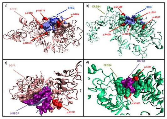 <p>Modelos de interacción elaborados con PRISM de diferentes marcadores tumorales. / <em>PLoS ONE</em></p>