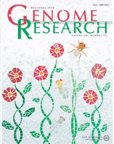 <p>La portada de la revista <em>Genome Research </em>de diciembre es una representación artística inspirada en Antoni Gaudí, que refleja la idea conceptual de esta investigación. / Cold Spring Harbor Laboratory (CSHL) Press </p>