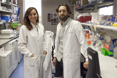 <p>Alejo Efeyan, jefe del Grupo de Metabolismo y Señalización Celular del CNIO, y Ana Ortega-Molina, primera autora del estudio <strong>/ </strong>CNIO</p>