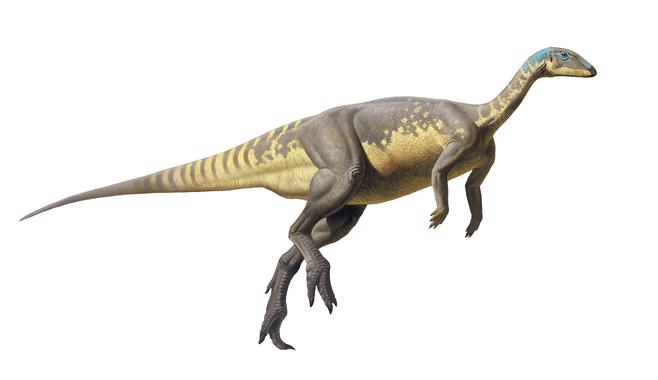 <p>Reconstrucción de Eousdryosaurus, por Raúl Martín. / UNED</p>
