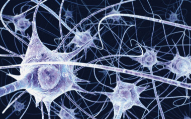 
<!-- START: including template: extension/sinc/design/ezwebin/templates/content/datatype/view/ezxmltags/paragraph.tpl (design:content/datatype/view/ezxmltags/paragraph.tpl) -->
<p>Neuronas. Imagen: Hljod.Huskona.</p>
<!-- STOP: including template: extension/sinc/design/ezwebin/templates/content/datatype/view/ezxmltags/paragraph.tpl (design:content/datatype/view/ezxmltags/paragraph.tpl) -->
