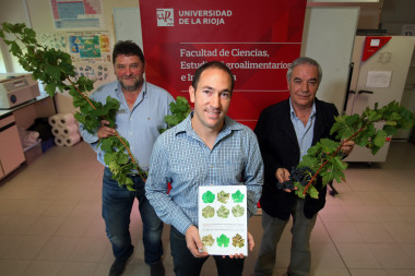 <p>Pedro Balda, flanqueado por los investigadores Juan Carlos Sancha y Fernando Martínez de Toda, que portan muestras de las dos nuevas variedades. / © UR Comunicación.</p>