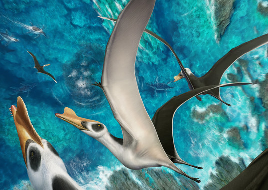 <p>Recreación en vida de distintos ejemplares de la nueva especie <em>Iberodactylus andreui</em>. / Hugo Salais-López, Metazoa Studio</p>