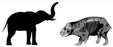 <p>Comparación de Lisowicia bojani con un elefante reciente / Tomasz Sulej and Grzegorz Niedzwiedzki</p>
