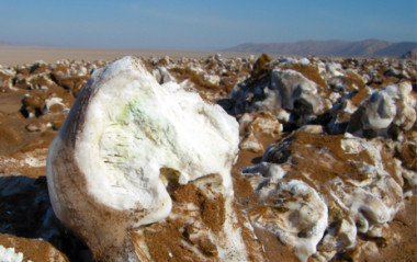 <p>Las rocas de halita en Salar Grande colonizadas por algas y bacterias yarqueas; zona de colonización es de color verde por la clorofila de los microorganismos fotosintéticos. / Jacek Wierzchos. </p>