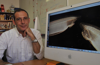 <p>El catedrático Jordi García-Fernández. Foto: UB.</p>