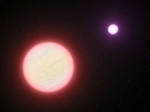 <p>Esta impresión artística muestra el par de enanas marrones conocido como CFBDSIR 1458+10. Imagen: ESO/L.Calçada.</p>