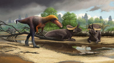 <p>La especie de tiranosauroide <em>Suskityrannus hazelae </em>vivió hace 92 millones de años durante el Cretácico Medio / Andrey Atuchin</p>