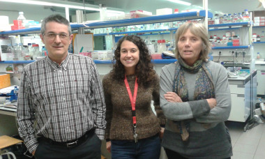 <p>De izquierda a derecha: Florenci Serras, Marina Ruiz-Romero y Montserrat Corominas, investigadores del <a href="http://www.ub.edu/genetica/indexen.htm" target="_self">departamento de Genética de la UB</a> y el <a href="http://www.ub.edu/ibub/en/index.html" target="_self">Instituto de Biomedicina de la UB</a> (IBUB). / UB</p>