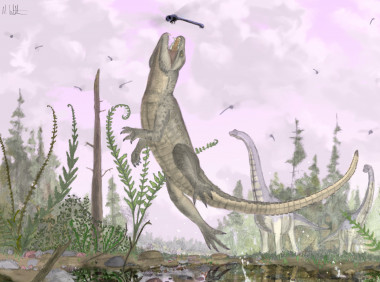 <p>Los cocodrilos del Cretácico (<em>Pakasuchus kapilimai</em>) tenían una dentadura similar a la de los mamíferos y una columna inusualmente flexible, y cazaban libélulas en una antigua planicie aluvial de Tanzania. <a href="http://www.plataformasinc.es/index.php/esl/imagenes/inicio/(imagen)/58105" target="_blank">Ilustración</a>: Mark Witton / Universidad de Portsmouth (EE UU).</p>