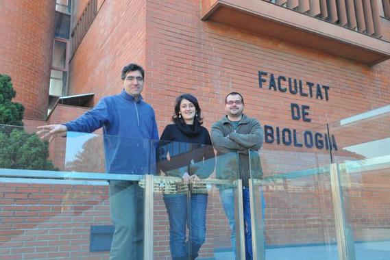 <p> Los investigadores Emili Saló, M. Dolores Molina y Francesc Cebrià en la Facultad de Biología de la UB</p>