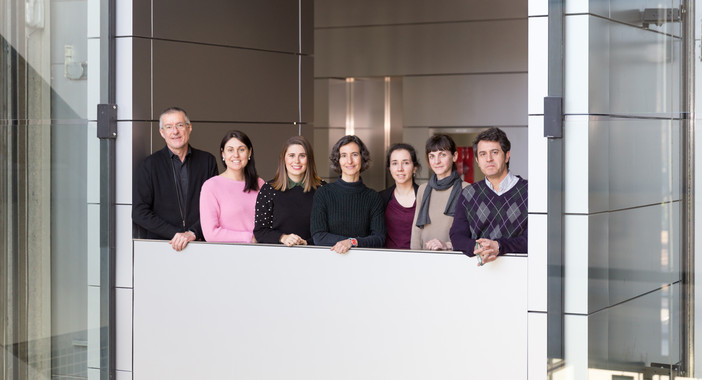 <p>De izquierda a derecha, Emilio Camafeita, Vanessa Núñez, Cristina Clemente, Alicia G. Arroyo, Laura Alonso-Herranz, Cristina Rius y Vicente Andrés. / CNIC</p>