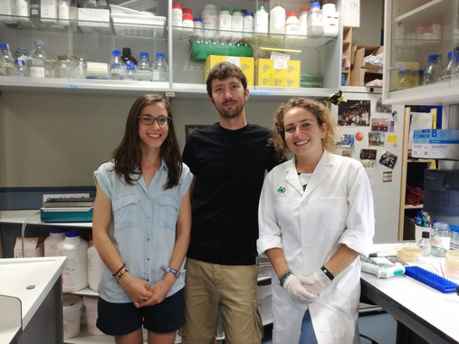 <p>Grupo de investigación de Fernando Gómez Herreros del Instituto de Biomedicina de Sevilla . / US</p>