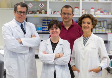 <p>Matías Ávila, Uxue Latasa, Tomás Aragón y Carmen Berasain, investigadores del Cima Universidad de Navarra / Manuel Castells</p>