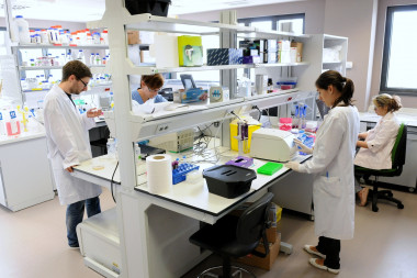 <p>Laboratorio del IBBTEC. / JM del Campo</p>
