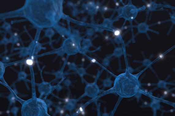 <p>Las redes neuronales se conectan siguiendo una topología que maximiza la estabilidad, un ejemplo para las redes creadas por el hombre. / <a href="https://www.flickr.com/photos/birthintobeing/11841180046/in/photolist-j3n9hE-6fLQ4u-5J4uci-epqjXb-75SmyS-4v1pXb-efmaRg-4m9vic-2WE92-8eisF6-4JcJ4G-8dvG3G-tPh5-q8n7e-7EAC3X-m93ET4-7ST91p-7gVQDj-brous1-8jwa63-7gRf7M-8emKtG-7ST91r-5JiBVU-9VWTjy-a3vLiF-55wUVz-a4UhJa-boovFk-7PKSWh-9JCBMe-efrVcy-53JJbM-7gXAf1-bx1iPV-defPgj-6dVuFN-cUjTYd-8YVKFz-axSKMD-9ff4DS-bgjtDK-dPRs1W-bxvKyF-jxNK4h--gKzo2g-7aC9da-7dm8ka-6w9zwS/" target="_self">Birth Into Being</a></p>