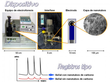 
<!-- START: including template: extension/sinc/design/ezwebin/templates/content/datatype/view/ezxmltags/paragraph.tpl (design:content/datatype/view/ezxmltags/paragraph.tpl) -->
<p>Dimensiones comparativas del equipo de electroforesis capilar, interfase electroquímica, electrodo comercial e imagen de los nanotubos dispersados en la superficie del electrodo. Electroferogramas mostrando el aumento de sensibilidad al utilizar nanotubos de carbono dispersos en la superficie de un electrodo comercial.</p>
<!-- STOP: including template: extension/sinc/design/ezwebin/templates/content/datatype/view/ezxmltags/paragraph.tpl (design:content/datatype/view/ezxmltags/paragraph.tpl) -->
