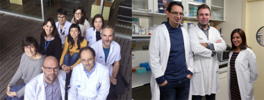 <p>Grupo de investigación en Neurovascular del Instituto Hospital del Mar de Investigaciones Médicas (izquierda) y investigadores del grupo de Enfermedades Neurovasculares del Vall d´Hebron Institut de Recerca (derecha). /IMIM/VHIR</p>