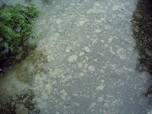 <p>Agua contaminada. Foto: URJC.</p>