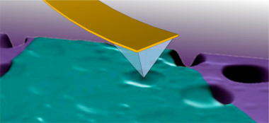 <p>Punta de un microscopio de fuerzas atómicas deformando la membrana de un micro-tambor de disulfuro de molibdeno. Imagen: Castellanos-Gomez et al.</p>