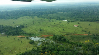 <p>Lugar de la Amazonia con geoglifos en el terreno / UPF</p>