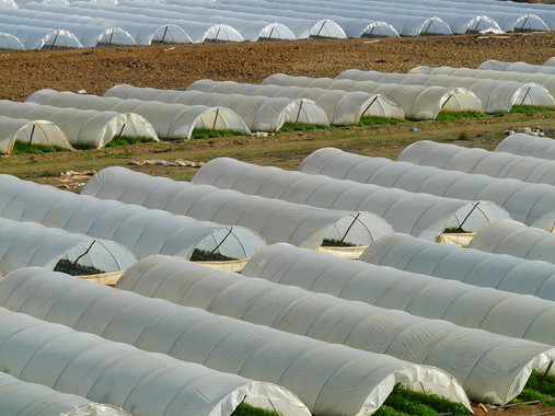 <p>España es el país europeo con mayor superficie de invernaderos, donde se genera gran cantidad de residuos plásticos. / <a href="http://www.freepik.es/" target="_self">freepik</a></p>