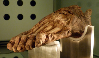 <p>Pie humano momificado de Hoya Brunco, La Guancha, Tenerife / Wolfgang Sauber</p>