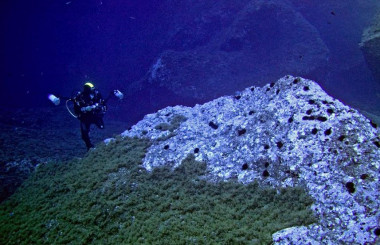 <p>Trabajos subacuáticos de seguimiento de las poblaciones de erizos marinos en las islas Medas. Imagen: Bernat Hereu / UB.</p>