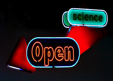 <p>El acceso abierto será obligatorio para todas las publicaciones científicas que se lleven a cabo con la financiación de Horizonte 2020./ Unhindered by Talent (derivada).</p>