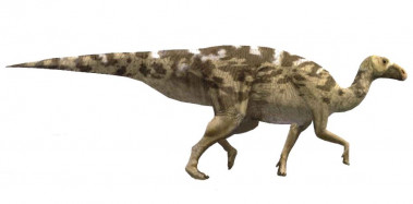 <p>Reconstrucción de la especie de hadrosaurio lambeosaurino <em>Pararhabdodon isonensis</em>. / Oscar Sanisidro (Institut Català de Paleontologia Miquel Crusafont)</p>