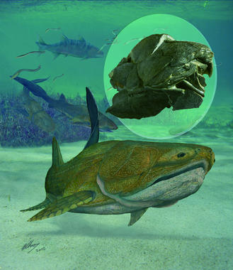<p>Reconstrucción del <em> Entelognathus primordialis</em>, un pez acorazado con mandíbulas notables. Este fósil de 419 millones de años hace replantearse a los científicos cómo los grupos de vertebrados con mandíbulas adquirieron sus rasgos característicos./ Brian Choo.</p>