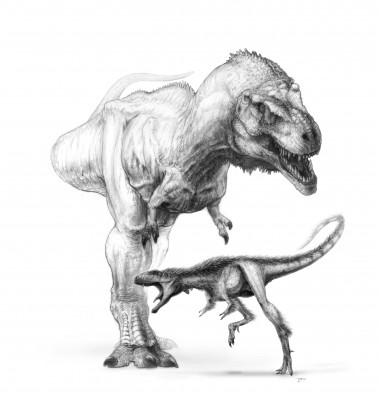 <p>El dinosaurio <em>Raptorex</em> descubierto en China muestra una línea corporal similar a la del mayor depredador, el Tyrannosaurius rex. <a href="http://www.plataformasinc.es/index.php/esl/imagenes/inicio/(imagen)/32429" target="_self">Ilustración: Todd Marshall</a>.</p>